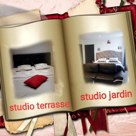 Au Paradis Des Crins Studio Rez De Chaussee Avec Jardin Et Un Autre Studio En Duplex Avec Terrasse Appartement Templeuve-en-Pevele Buitenkant foto