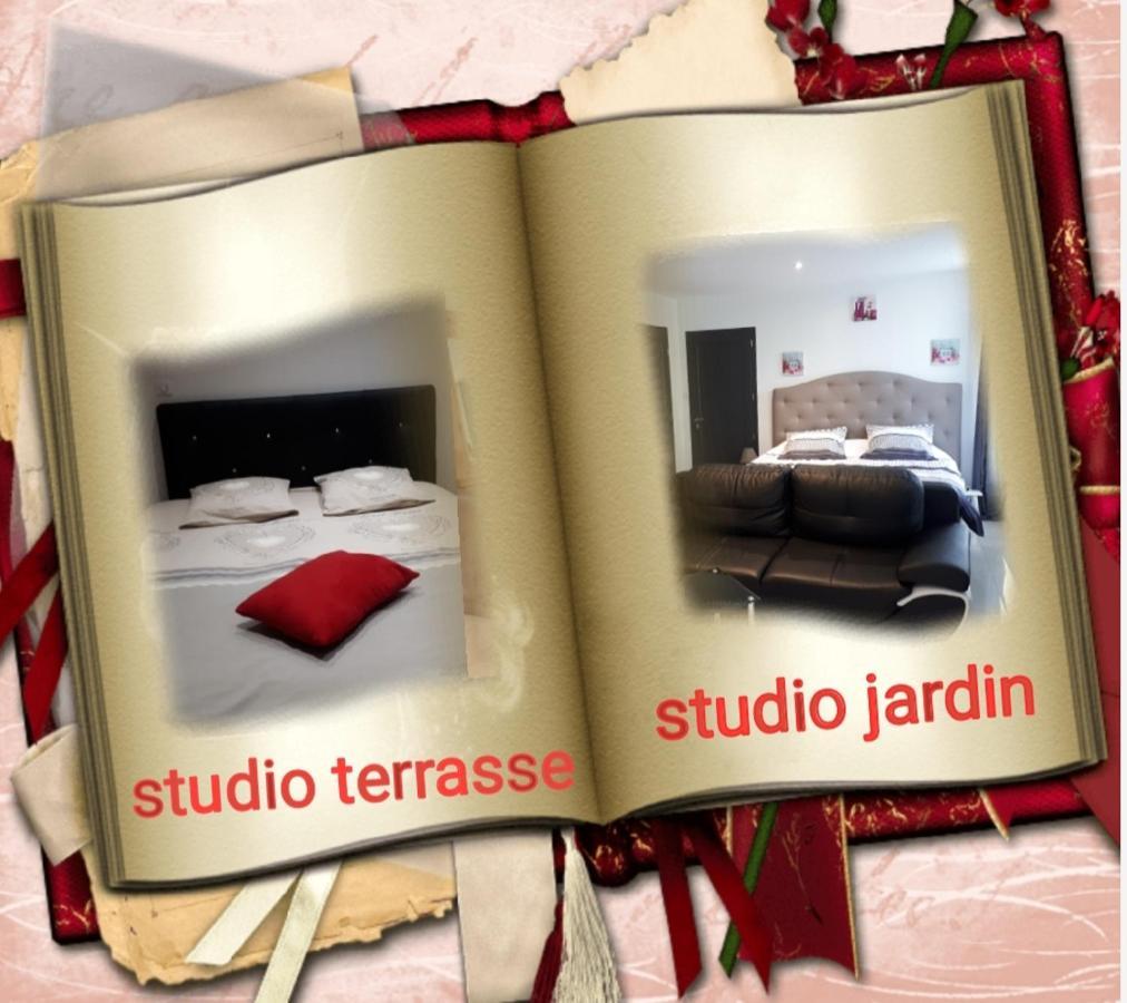 Au Paradis Des Crins Studio Rez De Chaussee Avec Jardin Et Un Autre Studio En Duplex Avec Terrasse Appartement Templeuve-en-Pevele Buitenkant foto
