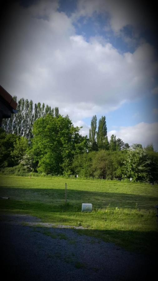 Au Paradis Des Crins Studio Rez De Chaussee Avec Jardin Et Un Autre Studio En Duplex Avec Terrasse Appartement Templeuve-en-Pevele Buitenkant foto
