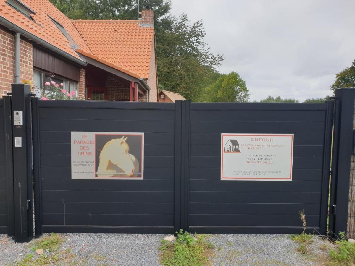 Au Paradis Des Crins Studio Rez De Chaussee Avec Jardin Et Un Autre Studio En Duplex Avec Terrasse Appartement Templeuve-en-Pevele Buitenkant foto