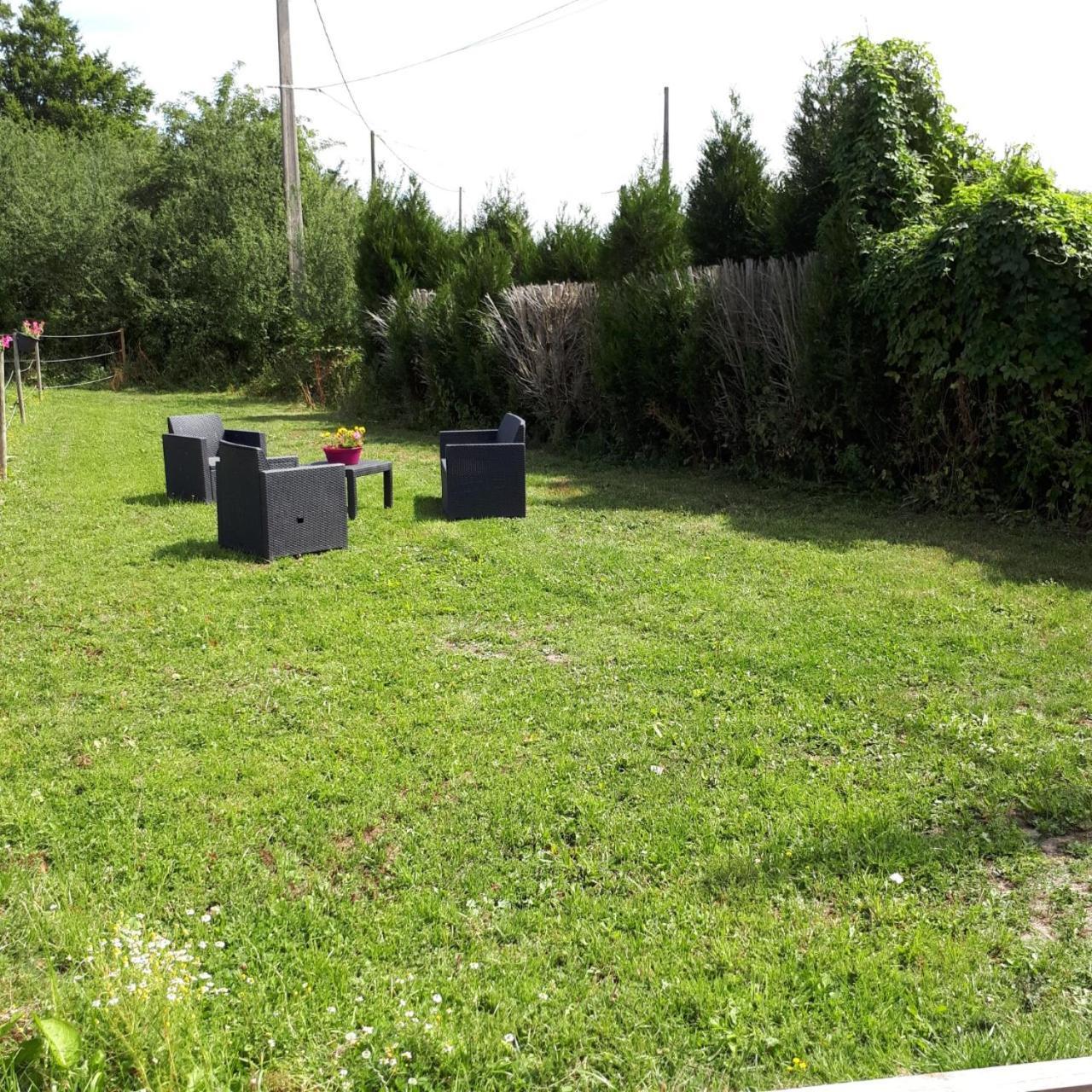 Au Paradis Des Crins Studio Rez De Chaussee Avec Jardin Et Un Autre Studio En Duplex Avec Terrasse Appartement Templeuve-en-Pevele Buitenkant foto